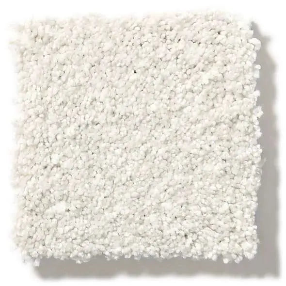 Colorwall - Find your comfort Blue - Tonal - Carpet Shaw Floors
