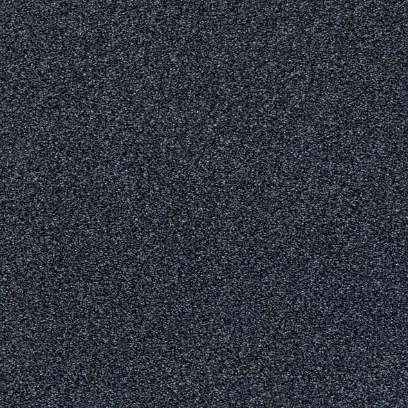Colorwall - Find your comfort Blue - Tonal - Carpet Shaw Floors