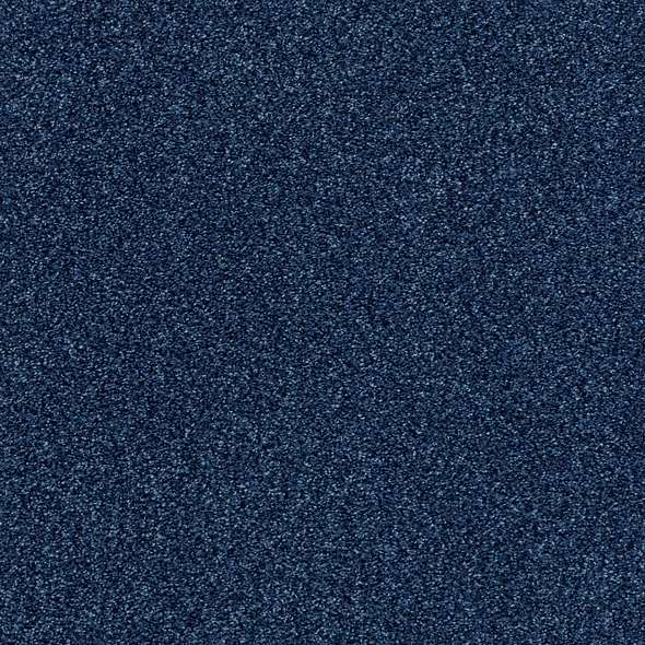 Colorwall - Find your comfort Blue - Tonal - Carpet Shaw Floors