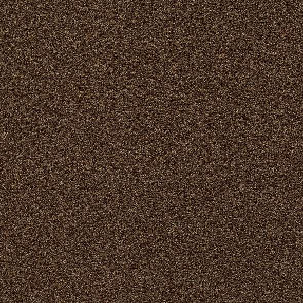 Colorwall - Find your comfort Blue - Tonal - Carpet Shaw Floors