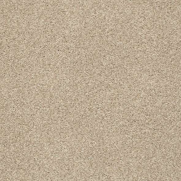 Colorwall - Find your comfort Blue - Tonal - Carpet Shaw Floors