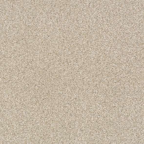 Colorwall - Find your comfort Blue - Tonal - Carpet Shaw Floors