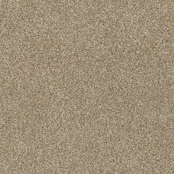 Colorwall - Find your comfort Blue - Tonal - Carpet Shaw Floors