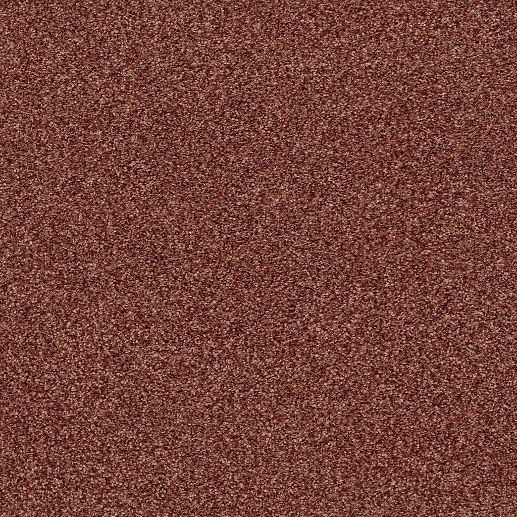 Colorwall - Find your comfort Blue - Tonal - Carpet Shaw Floors