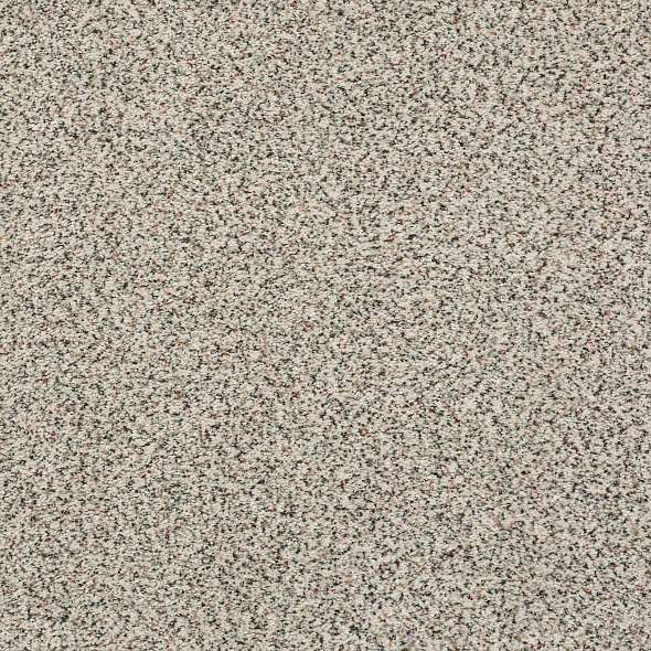 Colorwall - Find your comfort I -Accent - Carpet Shaw Floors