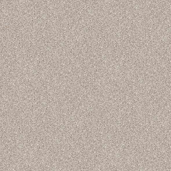 Colorwall - Find your comfort I -Accent - Carpet Shaw Floors