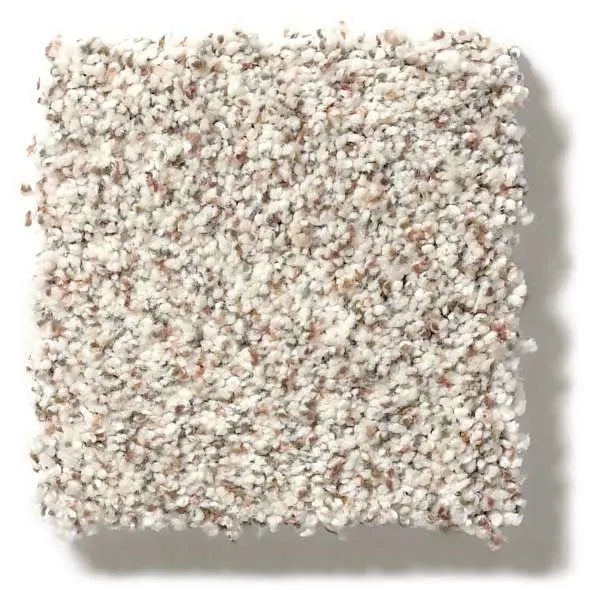 Colorwall - Find your comfort I -Accent - Carpet Shaw Floors