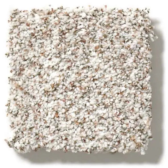 Colorwall - Find your comfort I -Accent - Carpet Shaw Floors
