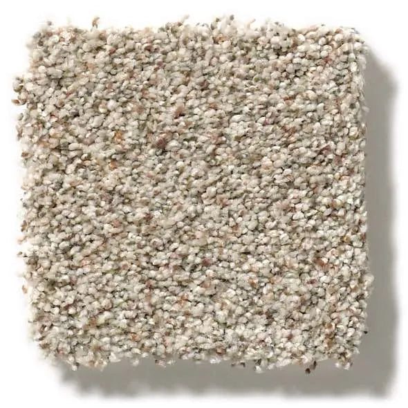 Colorwall - Find your comfort I -Accent - Carpet Shaw Floors