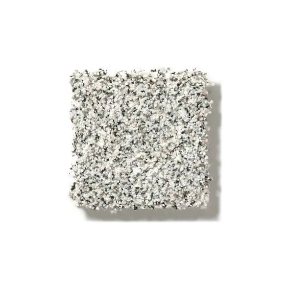 Colorwall - Find your comfort I -Accent - Carpet Shaw Floors