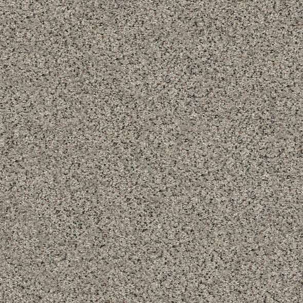 Colorwall - Find your comfort I -Accent - Carpet Shaw Floors