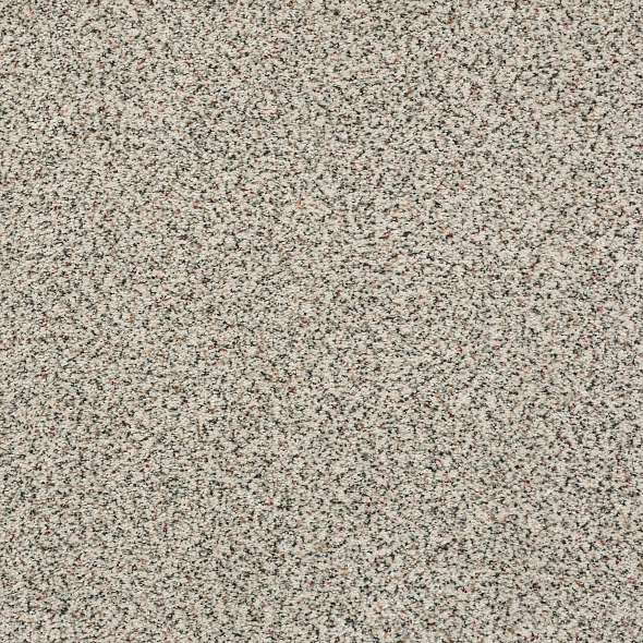 Colorwall - Find your comfort II -Accent - Carpet Shaw Floors