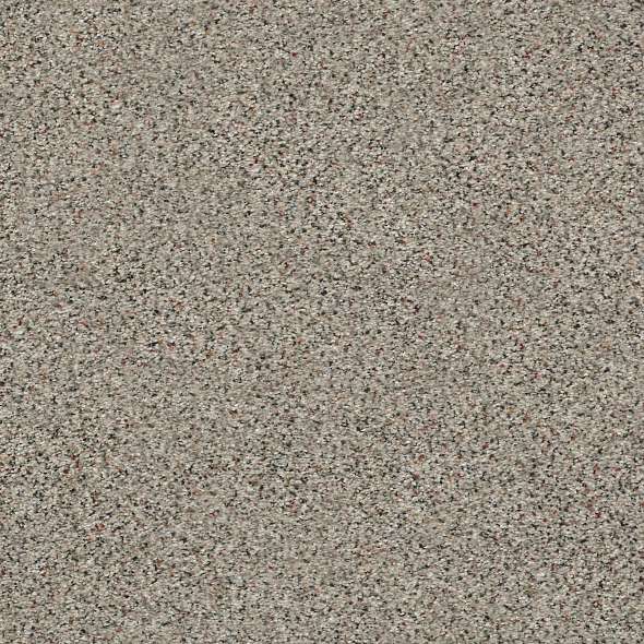 Colorwall - Find your comfort II -Accent - Carpet Shaw Floors