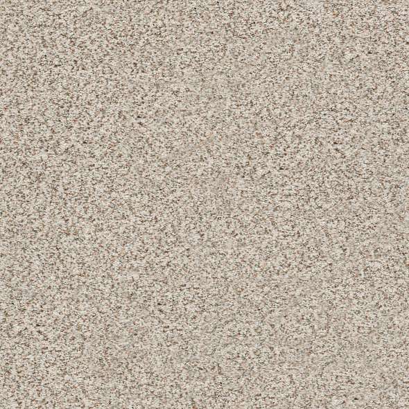 Colorwall - Find your comfort II -Accent - Carpet Shaw Floors