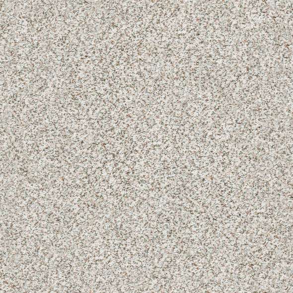 Colorwall - Find your comfort II -Accent - Carpet Shaw Floors