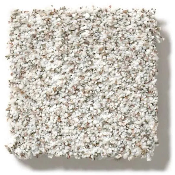 Colorwall - Find your comfort II -Accent - Carpet Shaw Floors