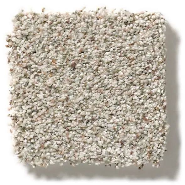 Colorwall - Find your comfort II -Accent - Carpet Shaw Floors