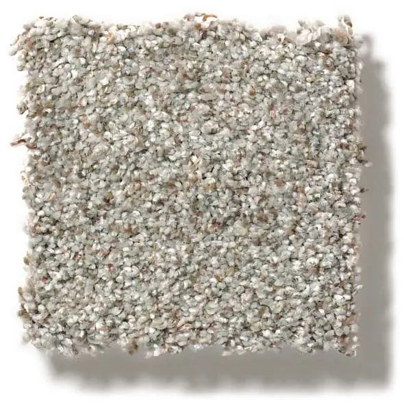 Colorwall - Find your comfort II -Accent - Carpet Shaw Floors