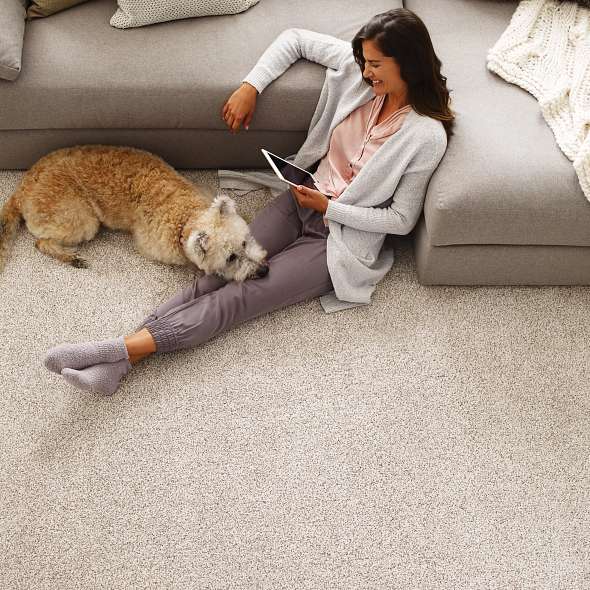 Colorwall - Find your comfort Blue -Accent - Carpet Shaw Floors