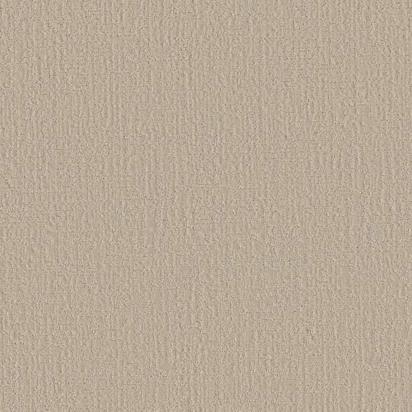 Colorwall - Creating Memories - Carpet Shaw Floors