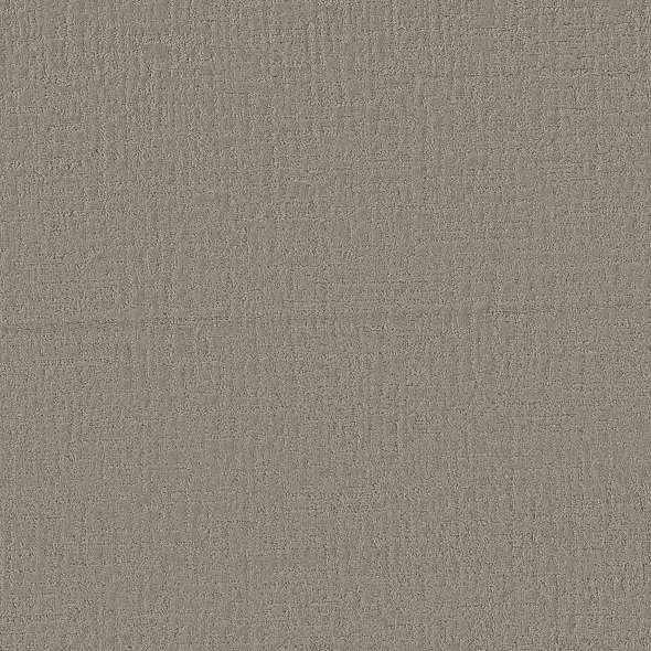 Colorwall - Creating Memories - Carpet Shaw Floors