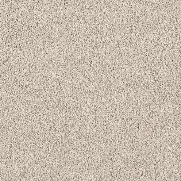 Caress - Rich Opulence - Carpet Shaw Floors