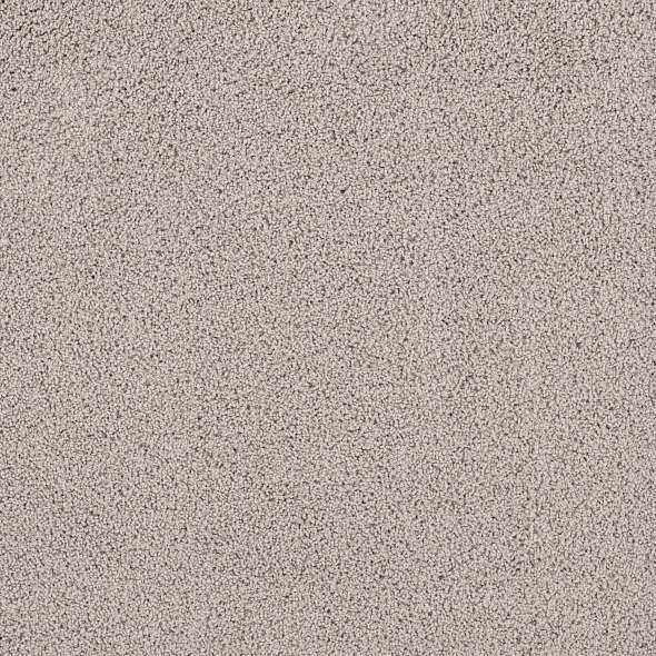 Caress - Rich Opulence - Carpet Shaw Floors