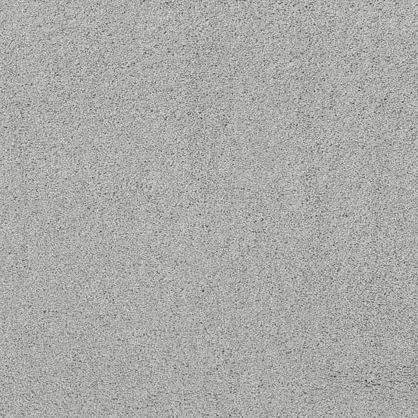 Caress - Rich Opulence - Carpet Shaw Floors