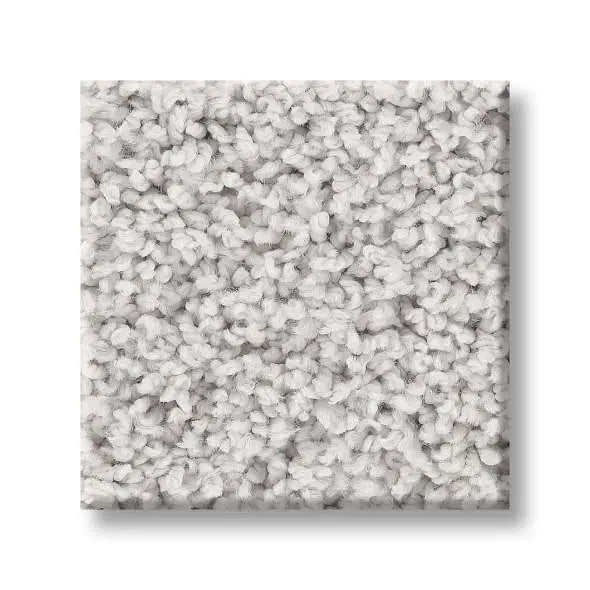 Caress - Rich Opulence - Carpet Shaw Floors