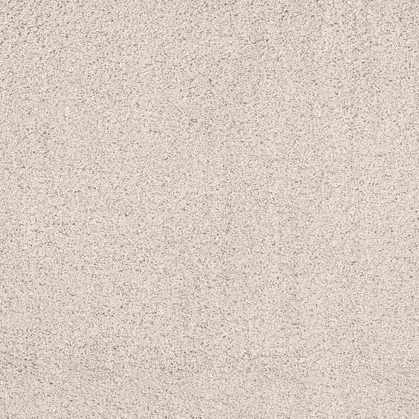 Caress - Rich Opulence - Carpet Shaw Floors