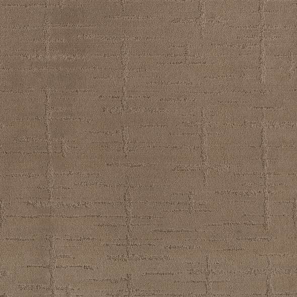 Caress - Rustique Vibe - Carpet Shaw Floors