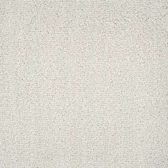 Caress - Ombre Whisper - Carpet Shaw Floors