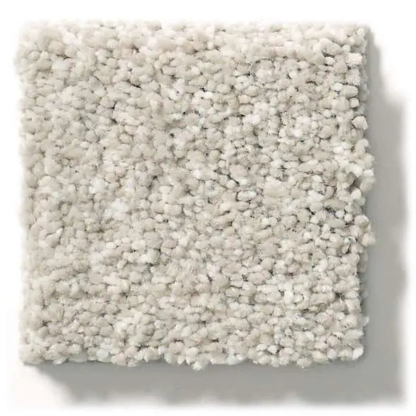 Caress - Ombre Whisper - Carpet Shaw Floors