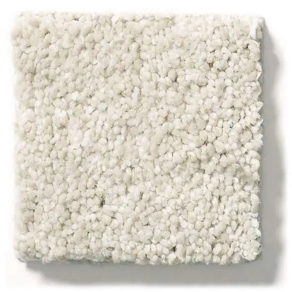 Caress - Ombre Whisper - Carpet Shaw Floors