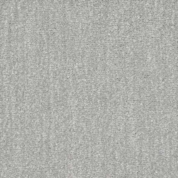 Caress - Ombre Whisper - Carpet Shaw Floors