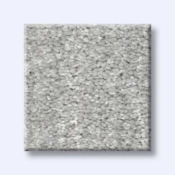 Caress - Ombre Whisper - Carpet Shaw Floors