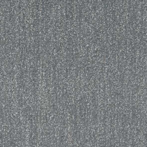 Caress - Ombre Whisper - Carpet Shaw Floors