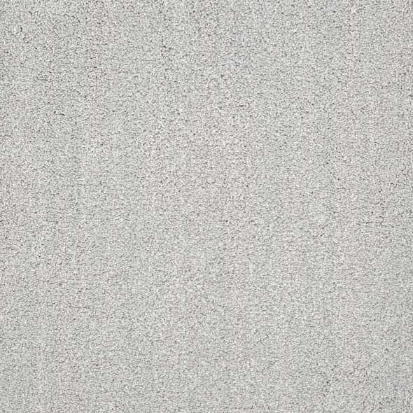 Caress - Ombre Whisper - Carpet Shaw Floors