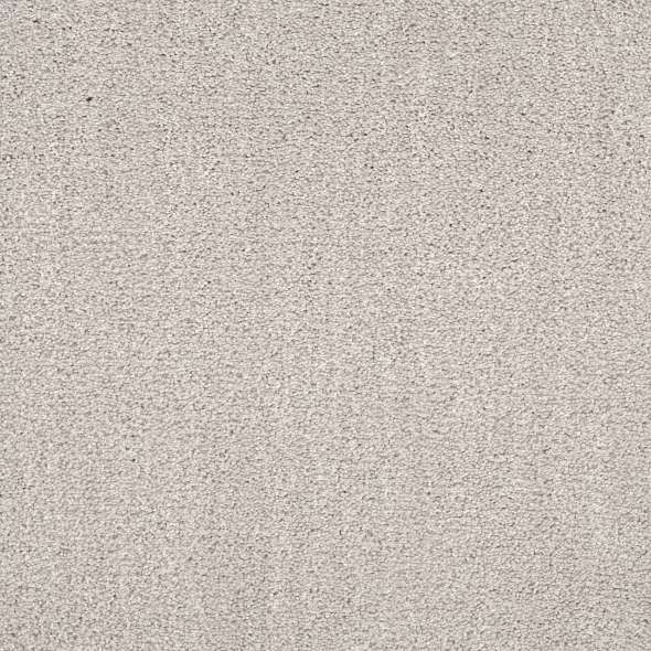 Caress - Ombre Whisper - Carpet Shaw Floors