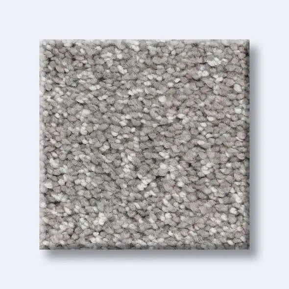 Caress - Ombre Whisper - Carpet Shaw Floors