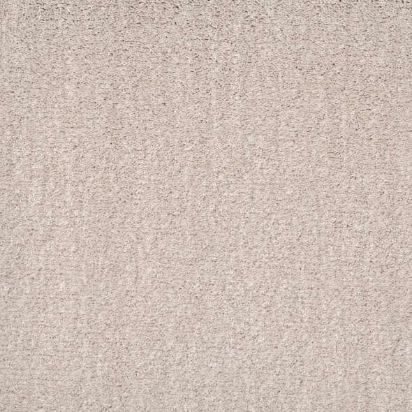 Caress - Ombre Whisper - Carpet Shaw Floors