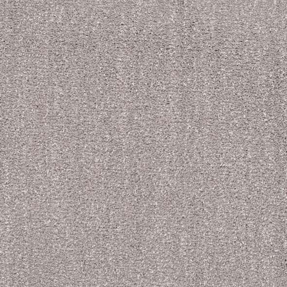 Caress - Ombre Whisper - Carpet Shaw Floors