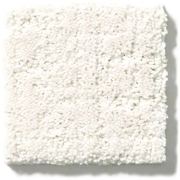 Colorwall - Creating Memories Blue - Carpet Shaw Floors