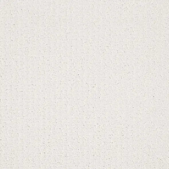 Colorwall - Warm Memories Blue - Carpet Shaw Floors