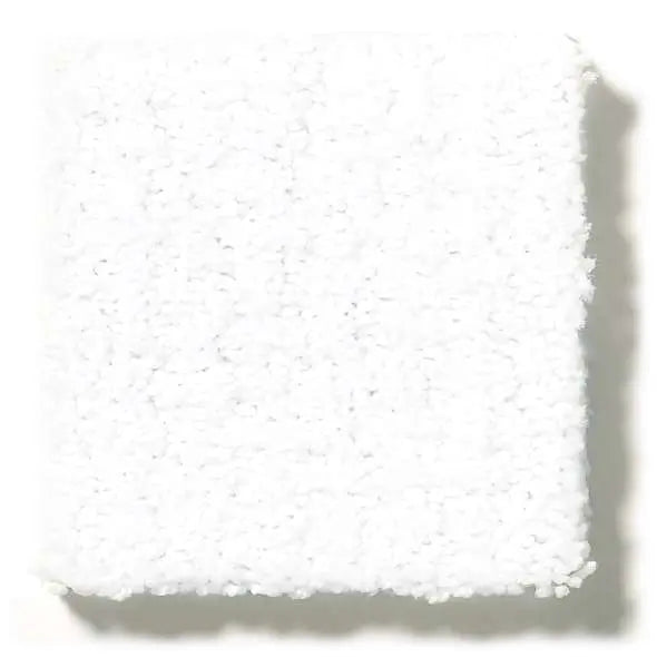 Colorwall - Warm Memories Blue - Carpet Shaw Floors