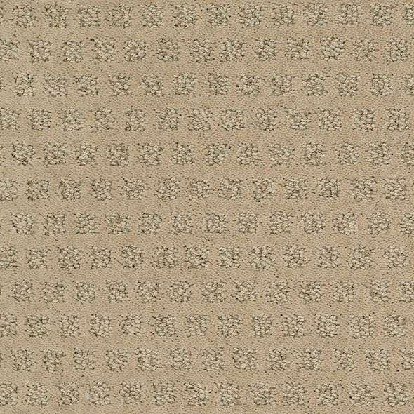 Caress - My Expression LG - Carpet Shaw Floors