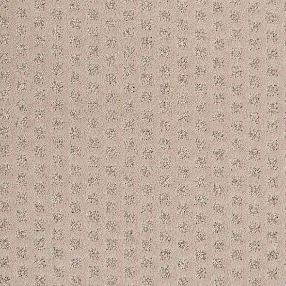 Caress - My Expression LG - Carpet Shaw Floors