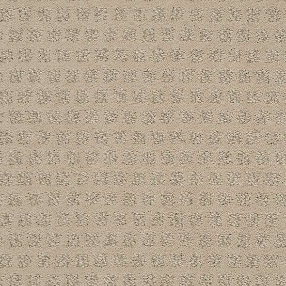 Caress - My Expression LG - Carpet Shaw Floors