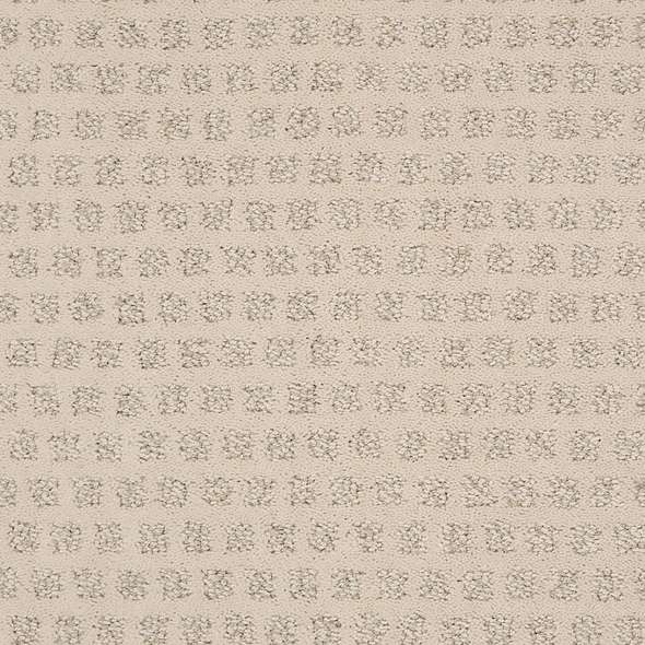 Caress - My Expression LG - Carpet Shaw Floors