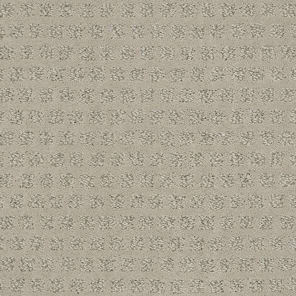 Caress - My Expression LG - Carpet Shaw Floors